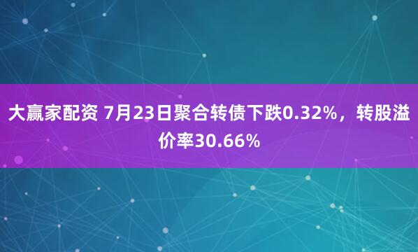 大赢家配资 7月23日聚合转债下跌0.32%，转股溢价率30.66%